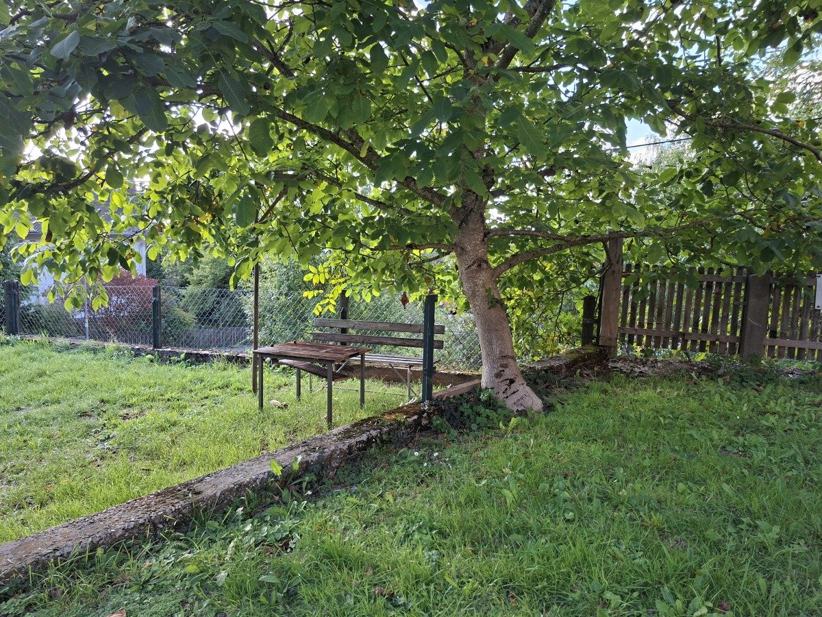 20260917_171352.jpg