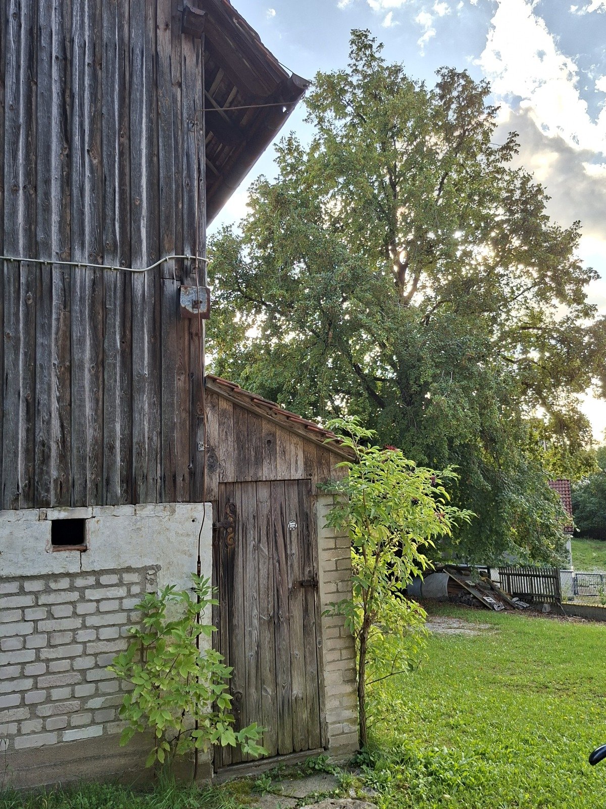 20260917_171732.jpg