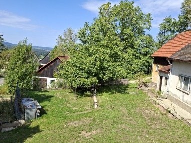 Die beiden Plätze und der große Nußbaum