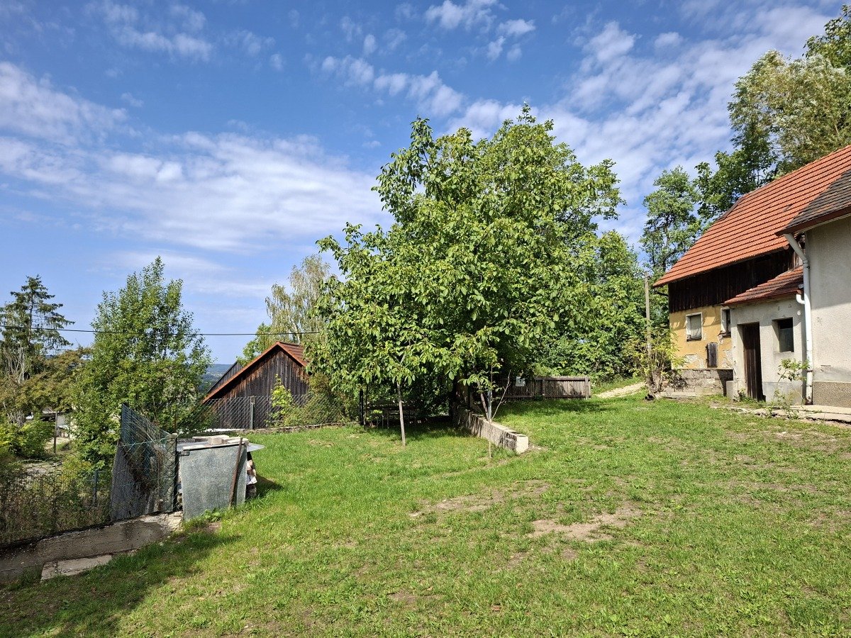 20260908_125014.jpg