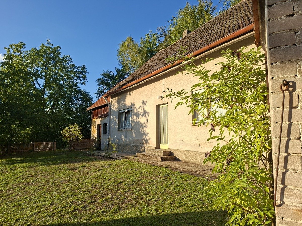 20260901_185244.jpg