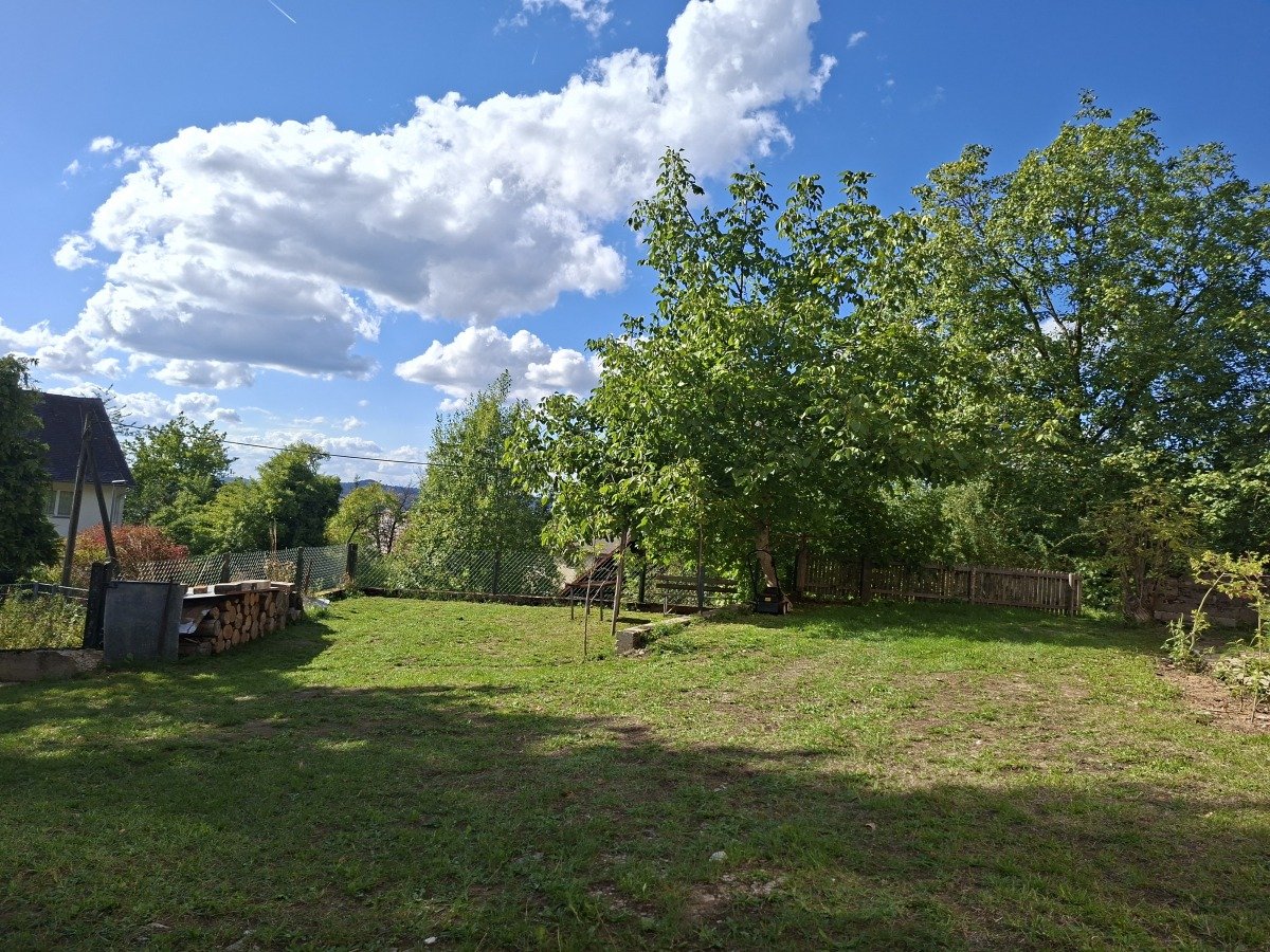 20260901_161241.jpg