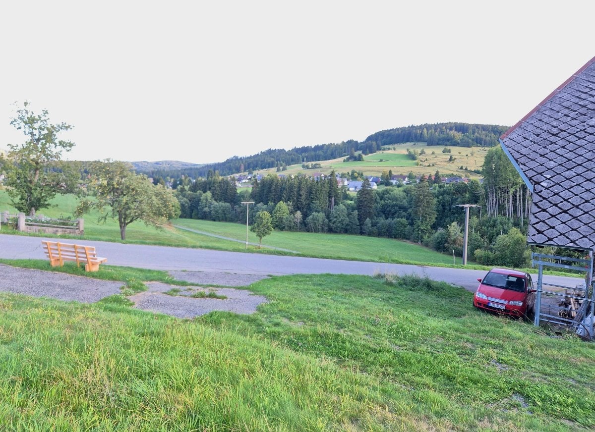 20260917_190005.jpg