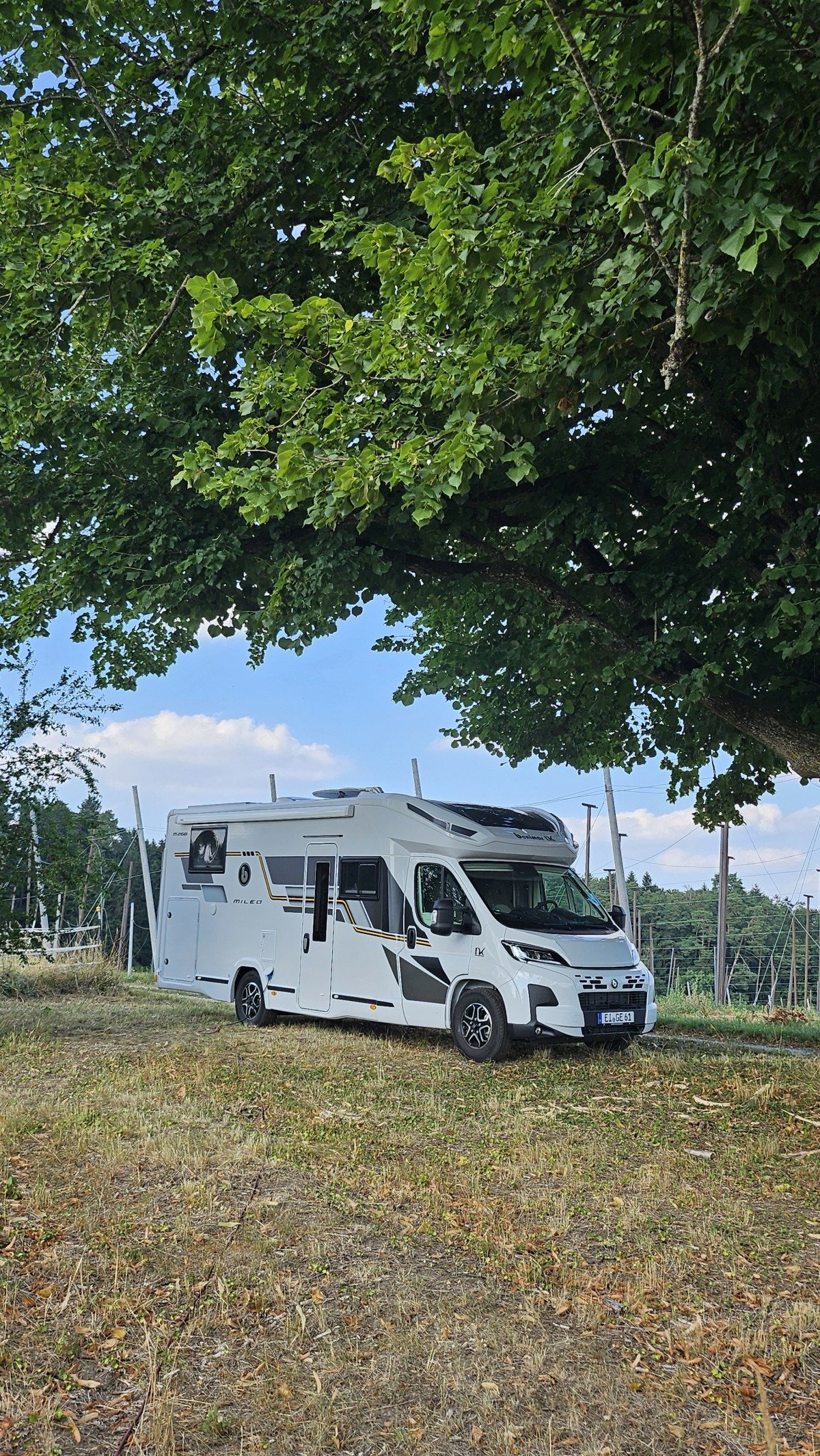 20260802_171404[1].jpg