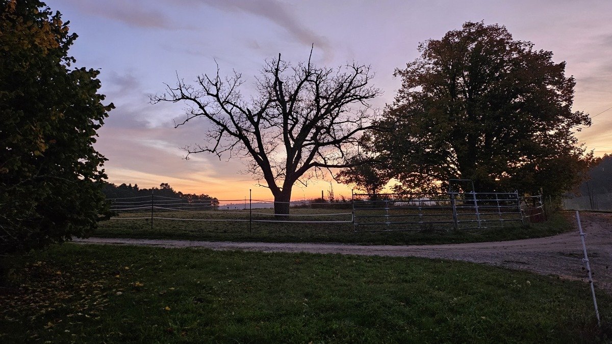20241018_071547[1].jpg