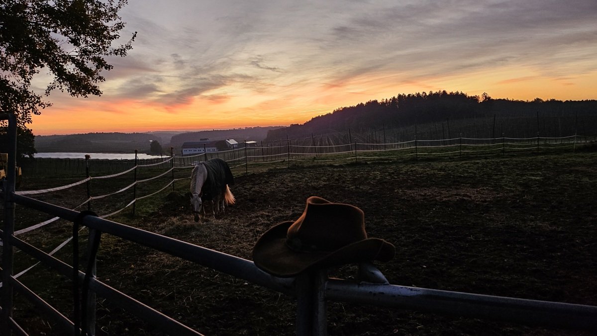 20241018_071713[1].jpg
