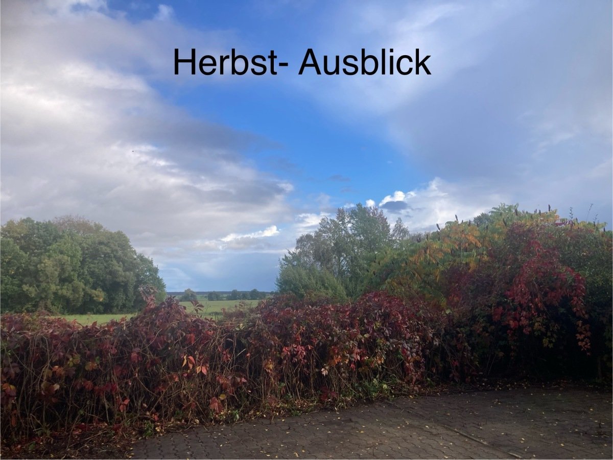 Ausblick
