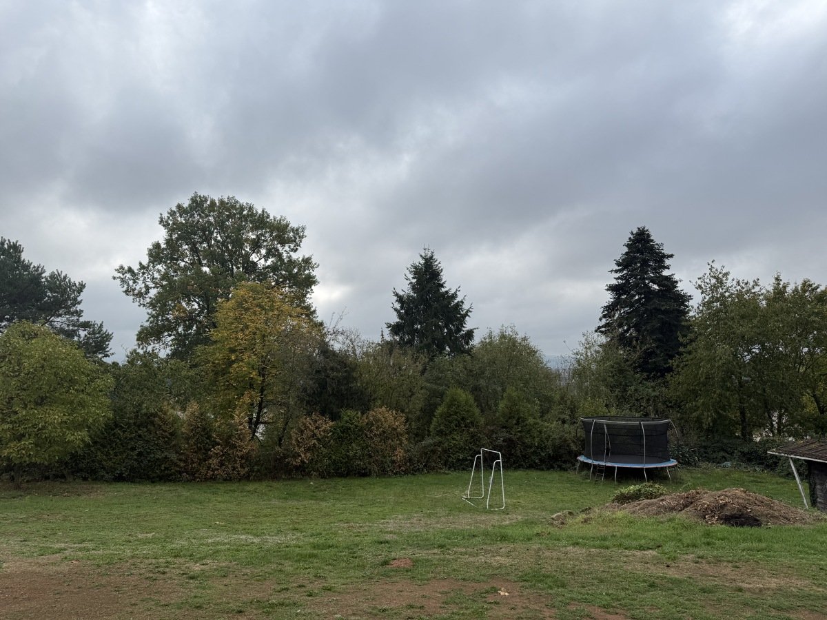 IMG_9211.jpeg