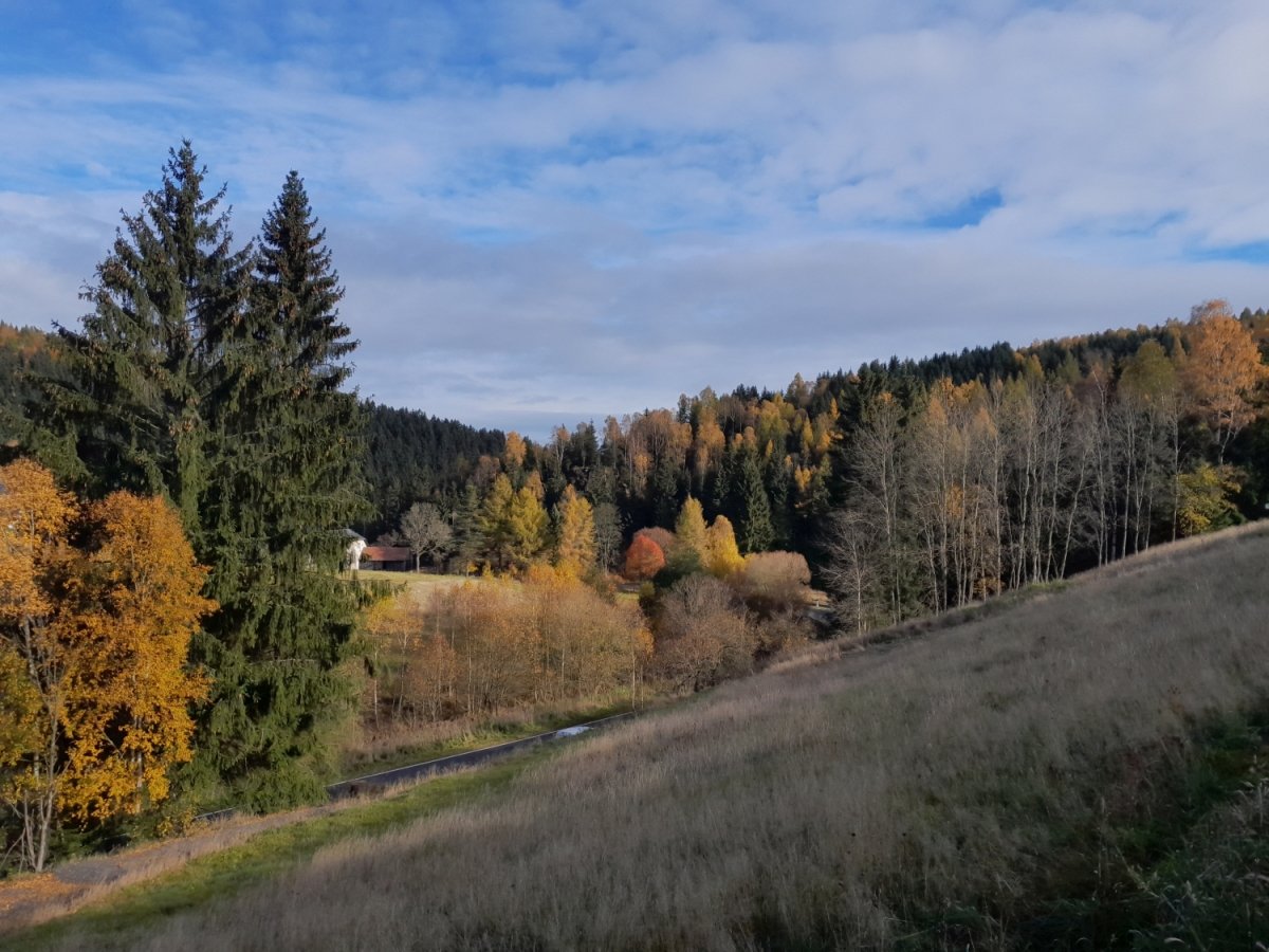 Blick ins Natzschungtal.jpg