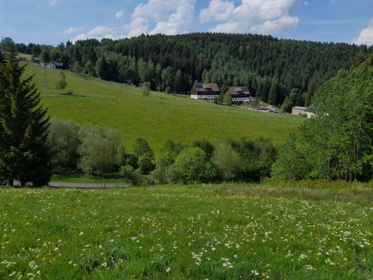 Blick zu den Grenzerhäusern.jpg