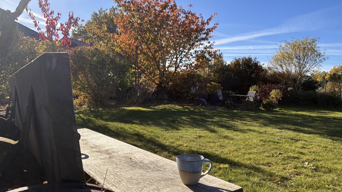 IMG_2677.jpeg