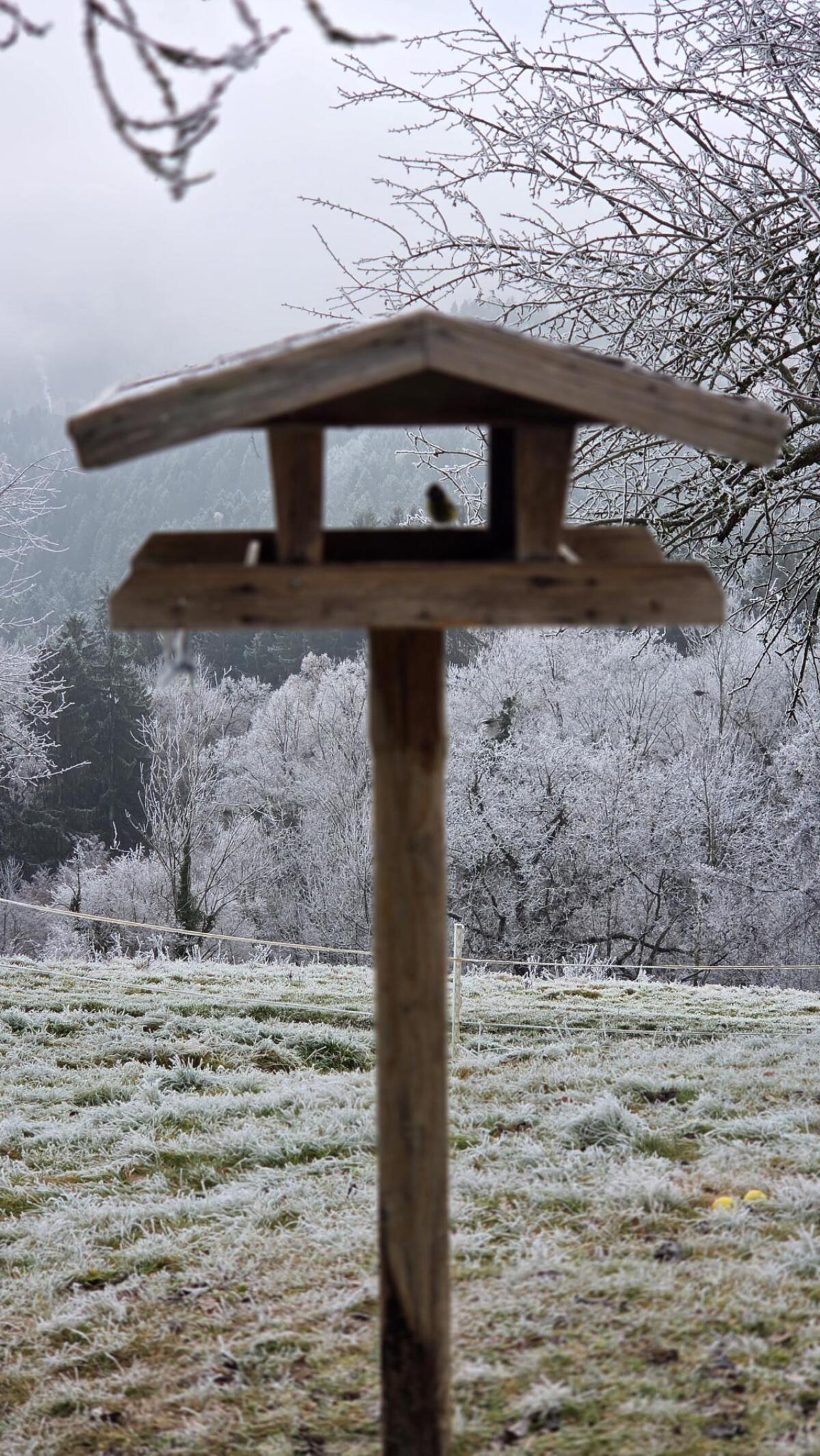 WINTERWONDER