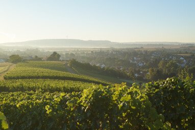 Weinsheim liegt in einem idyllischen Seitental der Nahe. Ein Flickenteppich aus Weinbergen, Feldern und W