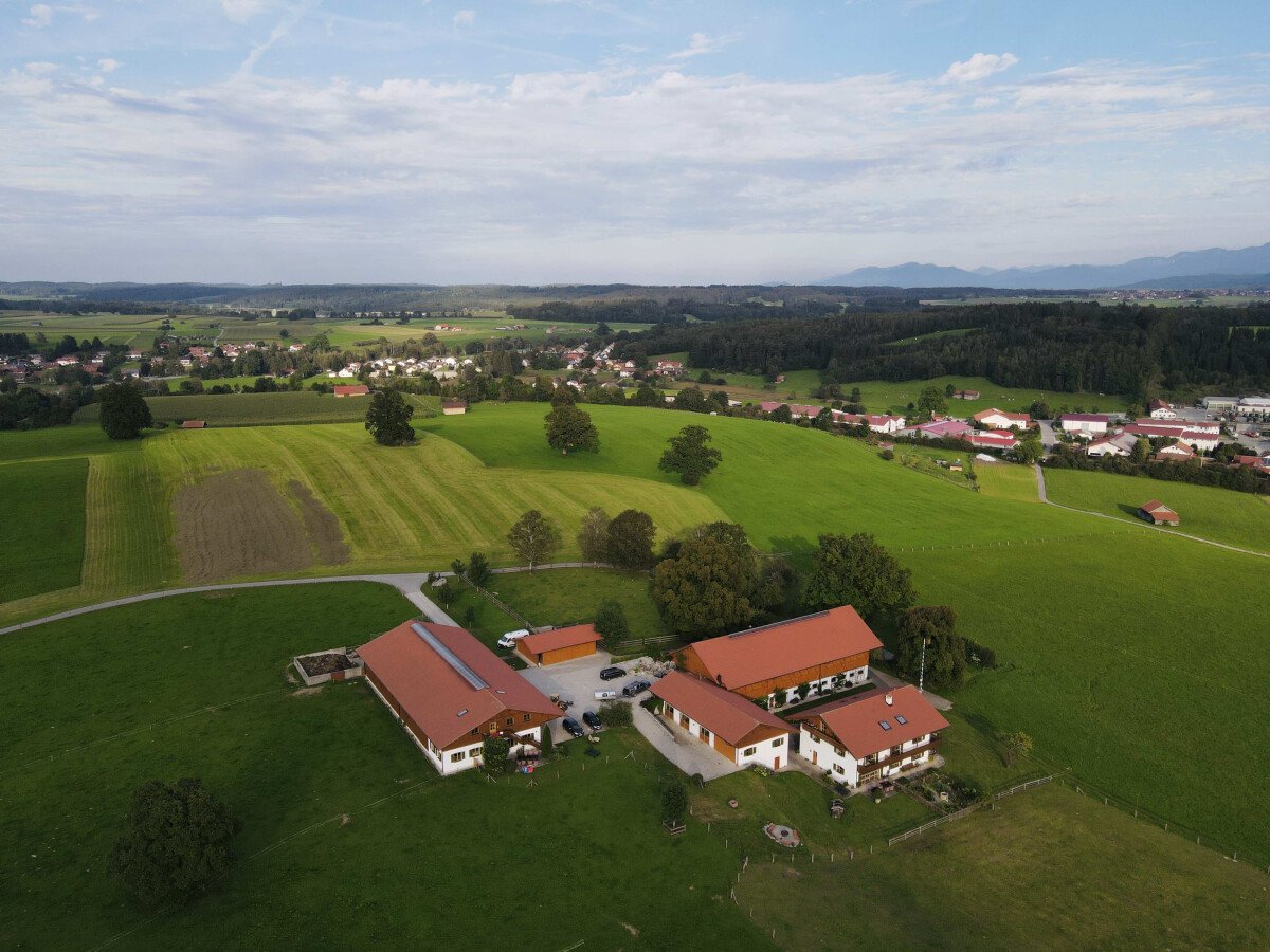 1637770426_Photo_6554577_DJI_977_jpg_4869414_0_20219718540_photo_original