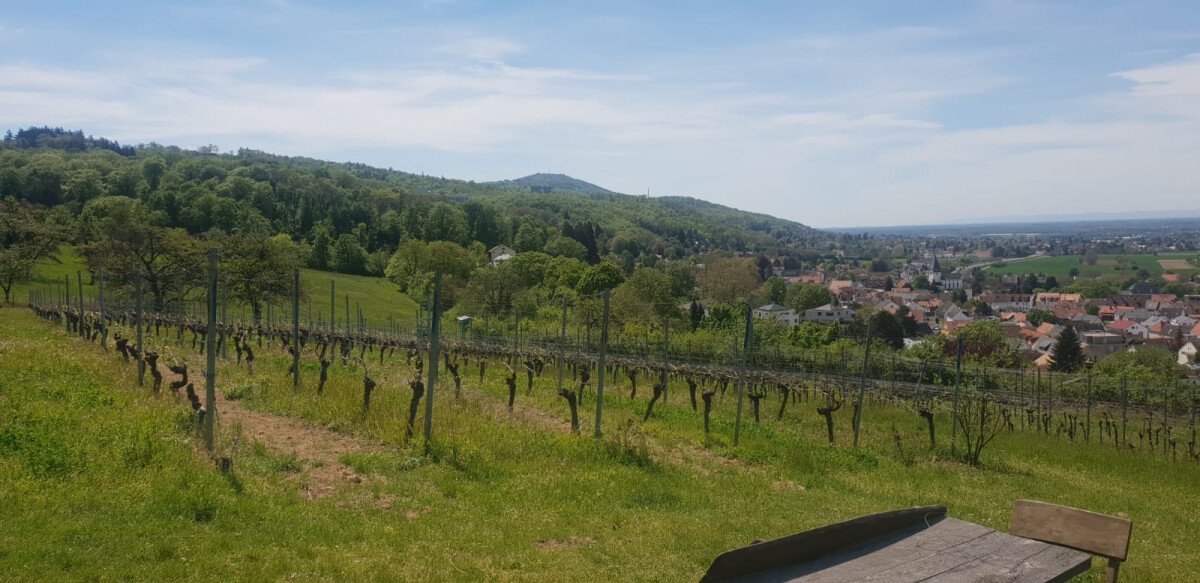 1646913026_Seeheim2
