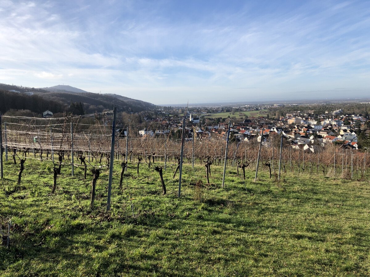 1646913065_Seeheim1