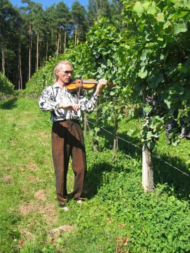 Musik im Weingarten