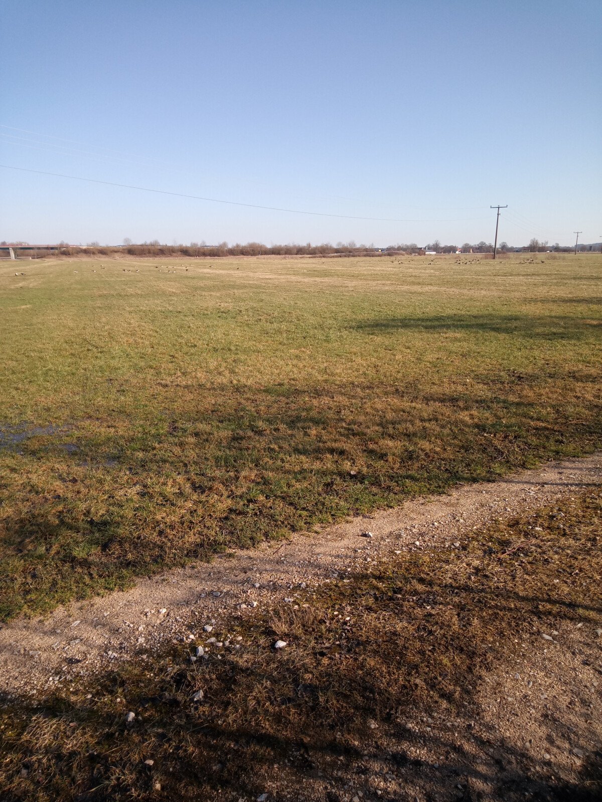 1649005074_IMG_20220213_135049_566