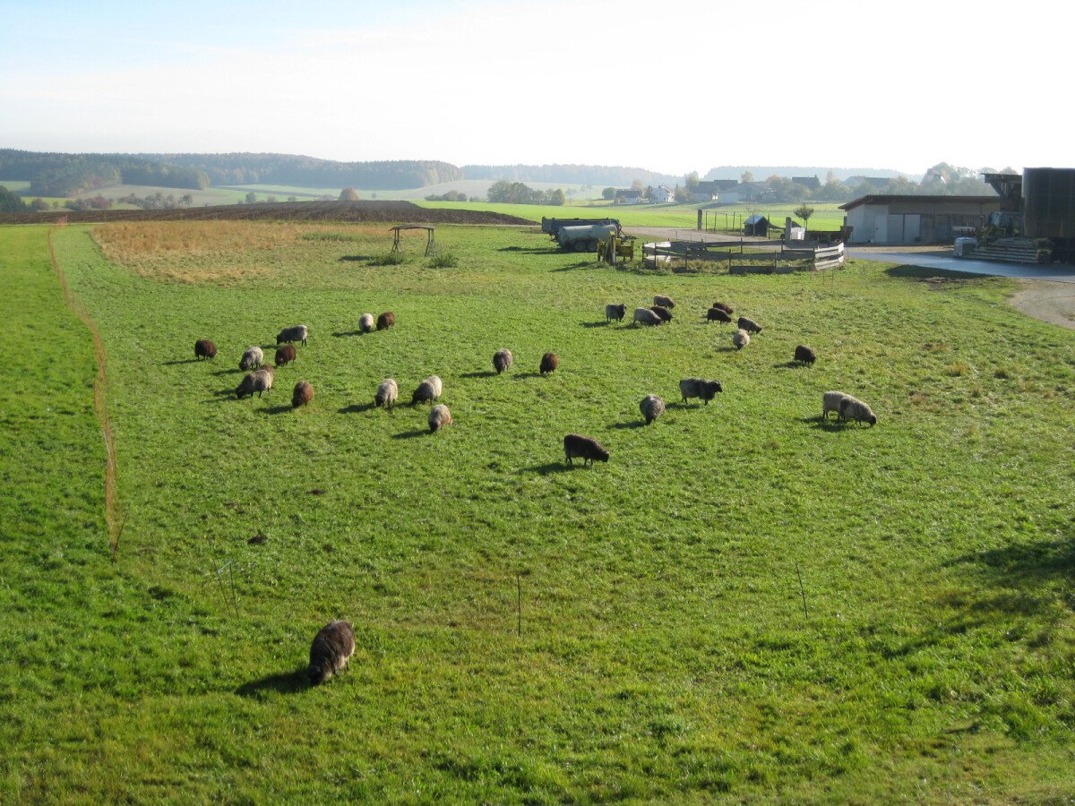 1649248925_bgBauernhof