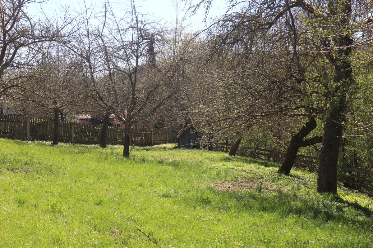 1650143995_IMG_4675