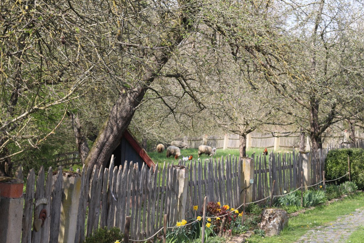 1650484536_IMG_5267
