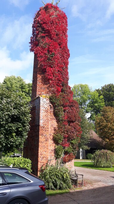 Der Turm im Herbst.