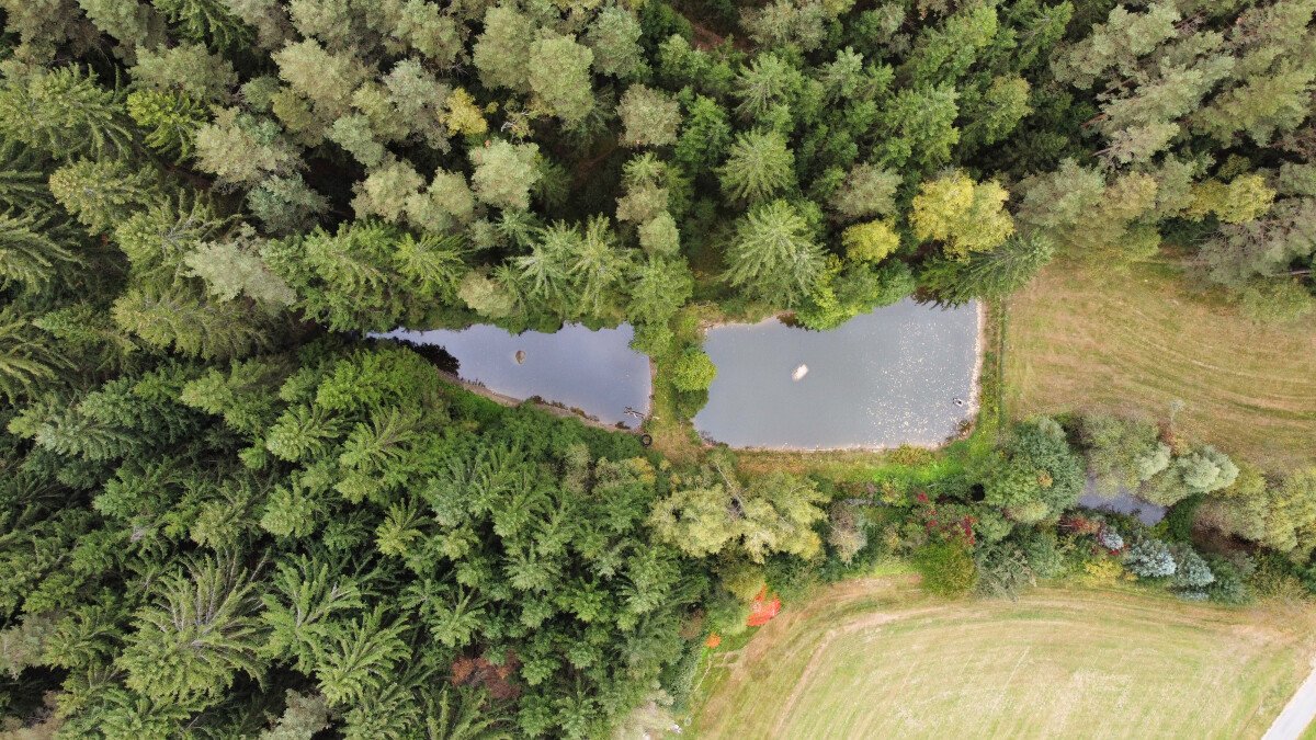 1659962095_Photo_6553946_DJI_346_jpg_4165769_0_2021105132012_photo_original