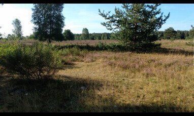 Aktuelles Bild aus der Heide vom 10.08 .22
3V6P+R3 Schneverdingen
In nur drei Kilometer Entfernung