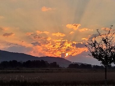 Sonnenaufgang über dem Sulzbürg
