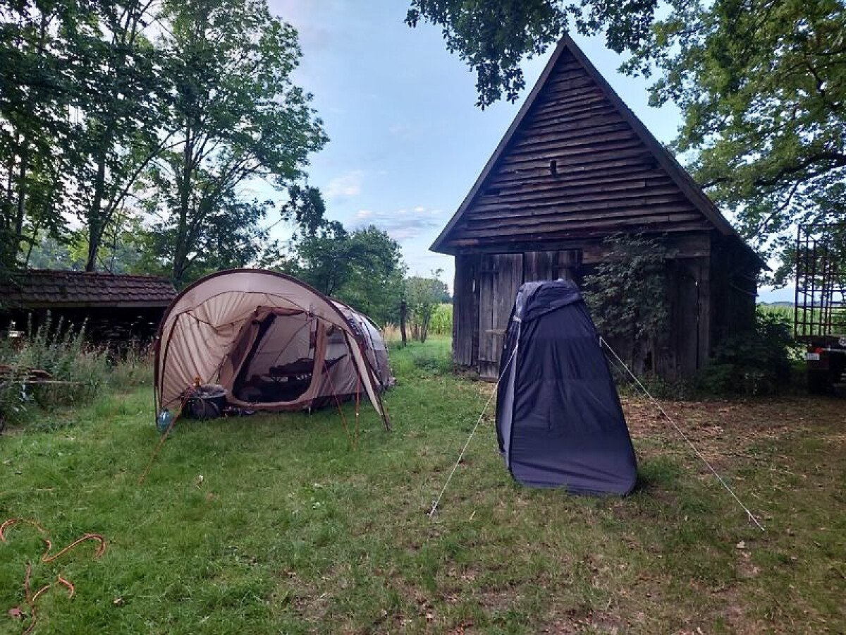 1666619047_Alpaca_Camping_7_Bissendorf