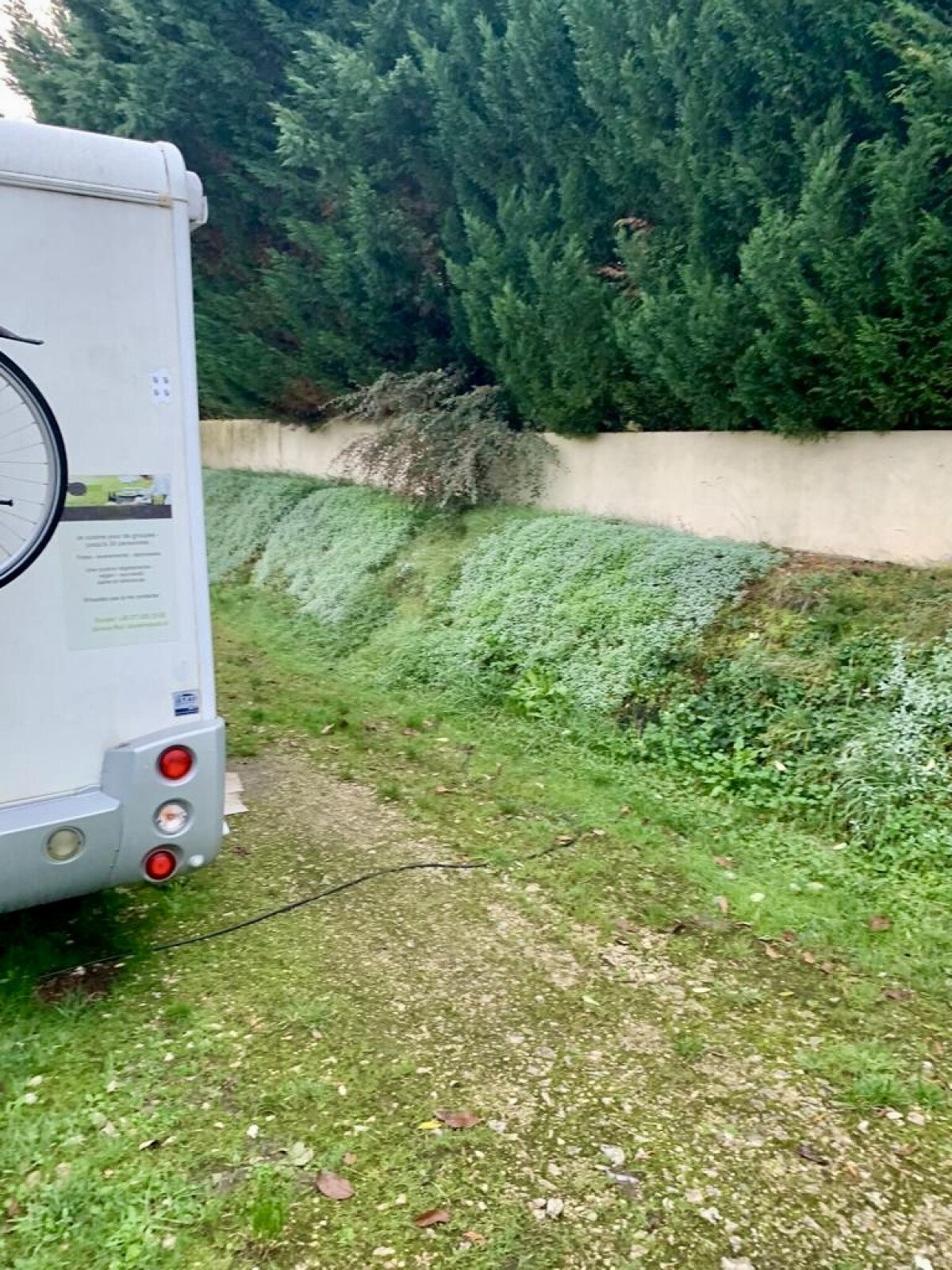 1667978536_EF3B5273-18C0-4527-94B2-1B3A3A5AD387_1_201_a