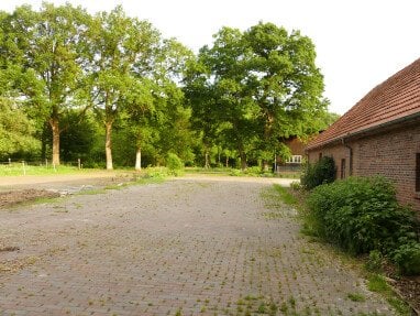 Stellplatz auf Pflaster unter Eichen mit Hofladen und Obstwiese in der Nachbarschaft