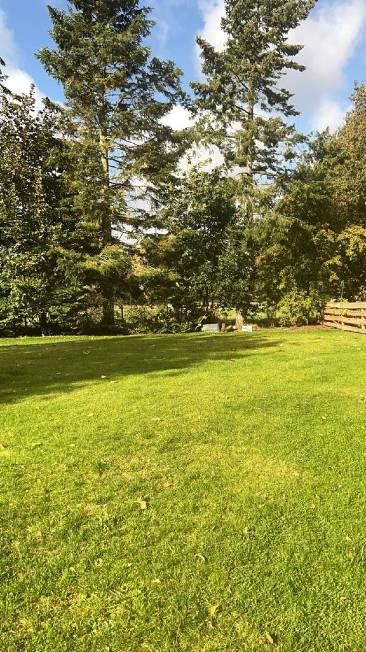 Ab/Unterstellplatz in Heidmühlen AlpacaCamping