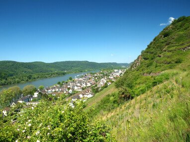 Blick auf Leutesdorf am Rhein..