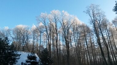 Naturerlebnis Wintercamping