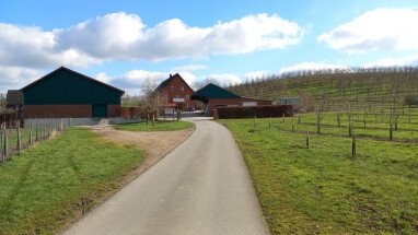 Hofzufahrt mit Blick auf den Hof