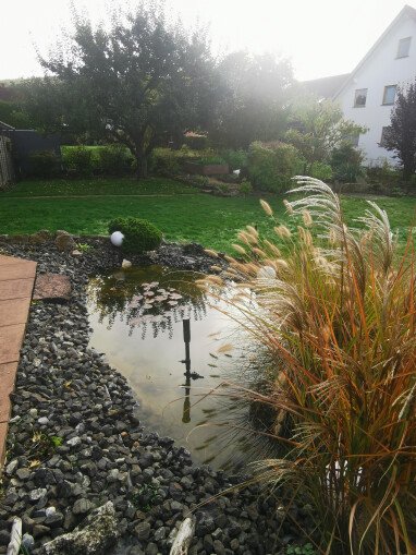 Unser Garten mit Teich!