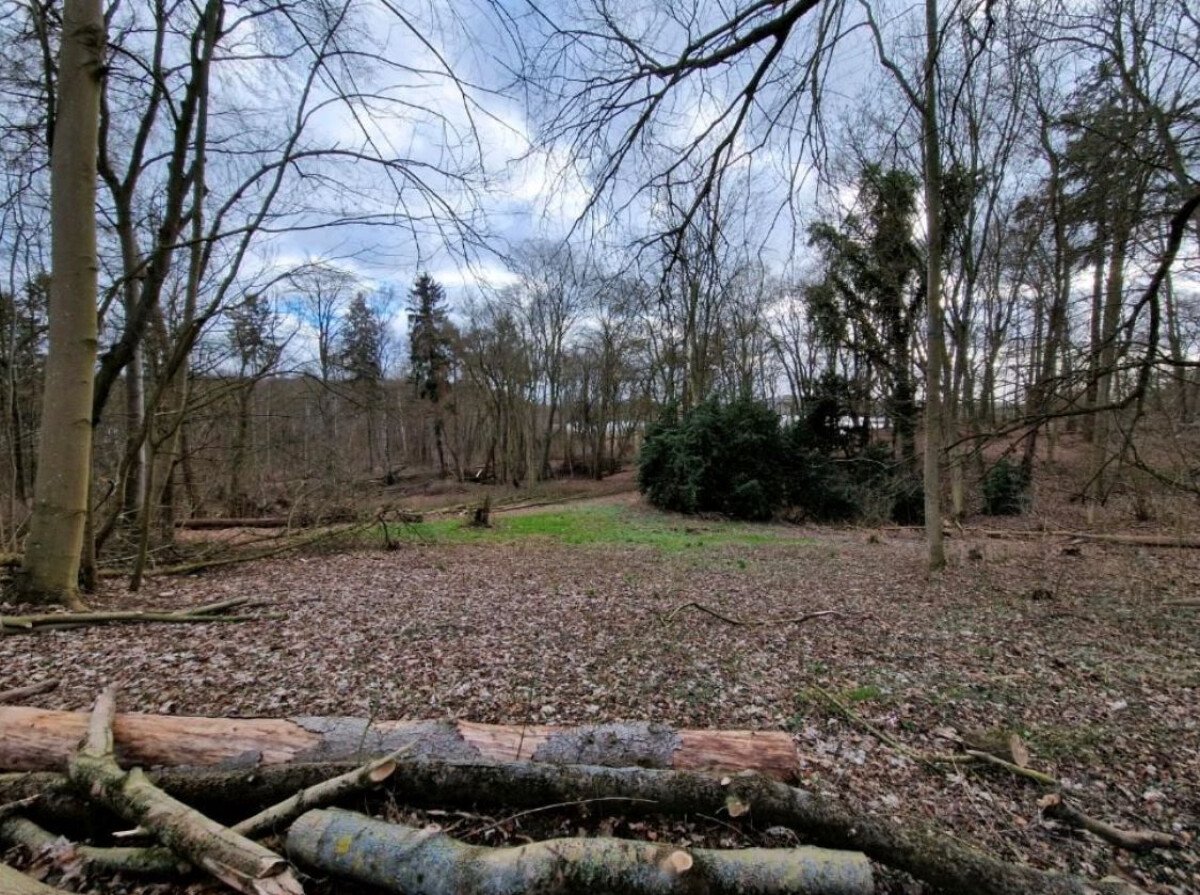 1680157822_Gutspark2