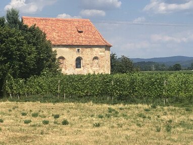 Blick auf die historische Burgkapelle mit Weinfeld