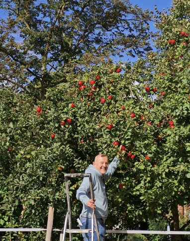 Rotbacken-Äpfel wie sie nur HIER wachsen...