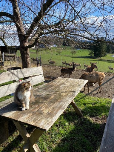 Sitzplatz mit Grill