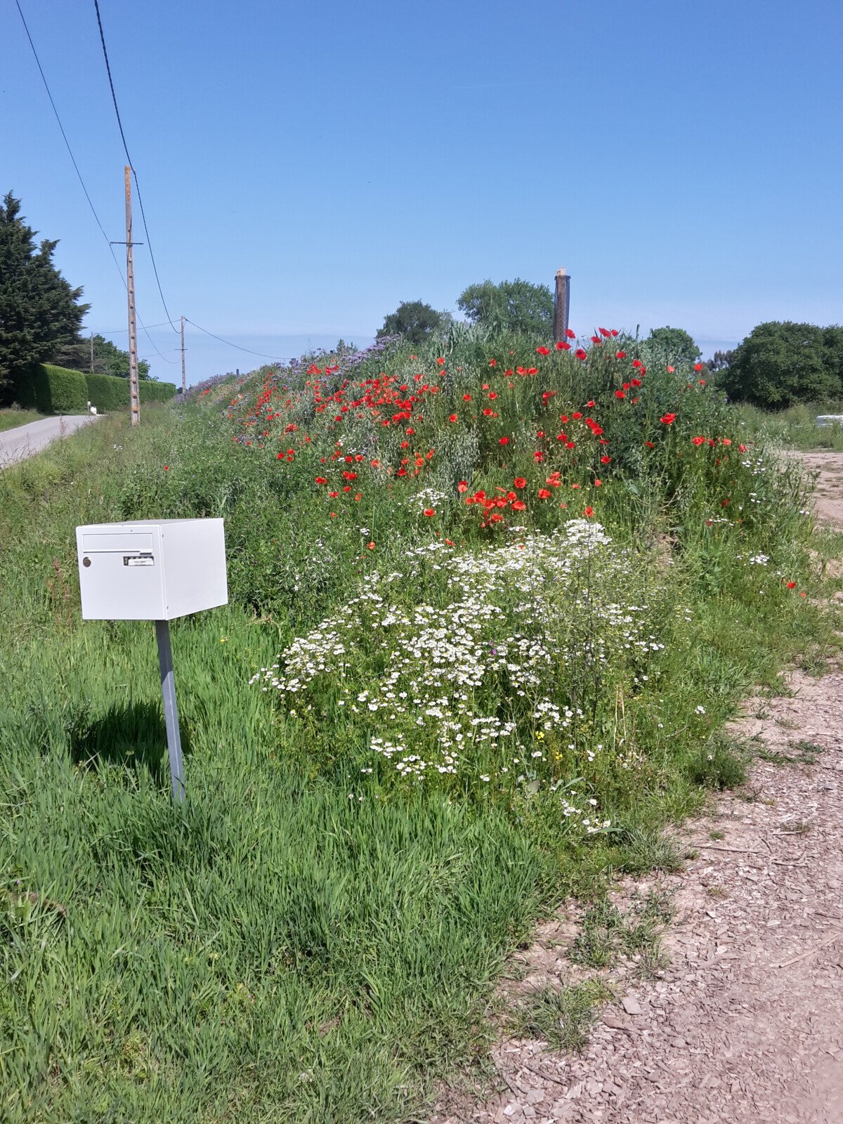 Emplacement dans notre ferme Maraîchère in TREMEREUC – Bild 2
