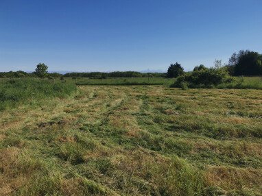 Vue de l'emplacement