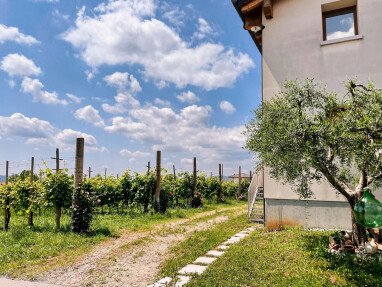 area per sosta su sterrato immersi nella vigna
Off-Road-Parkplatz mitten im Weinberg