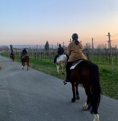 possibilità di fare diverse attività tra cui passeggiate a cavallo
Gelegenheit, die Gegend zu besichtigen