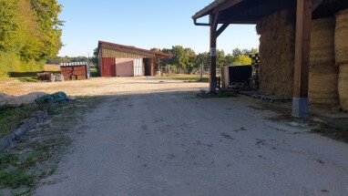 Der Weg zum Wiesenülatz im Sommer. Sonst Stellplatz hier vor dem Pferdestall