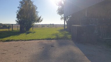 Ruhe, Blick auf Pferdeweide (Pferde können NICHT geritten werden, sind Rentner!). Brave Hunde erlaubt.