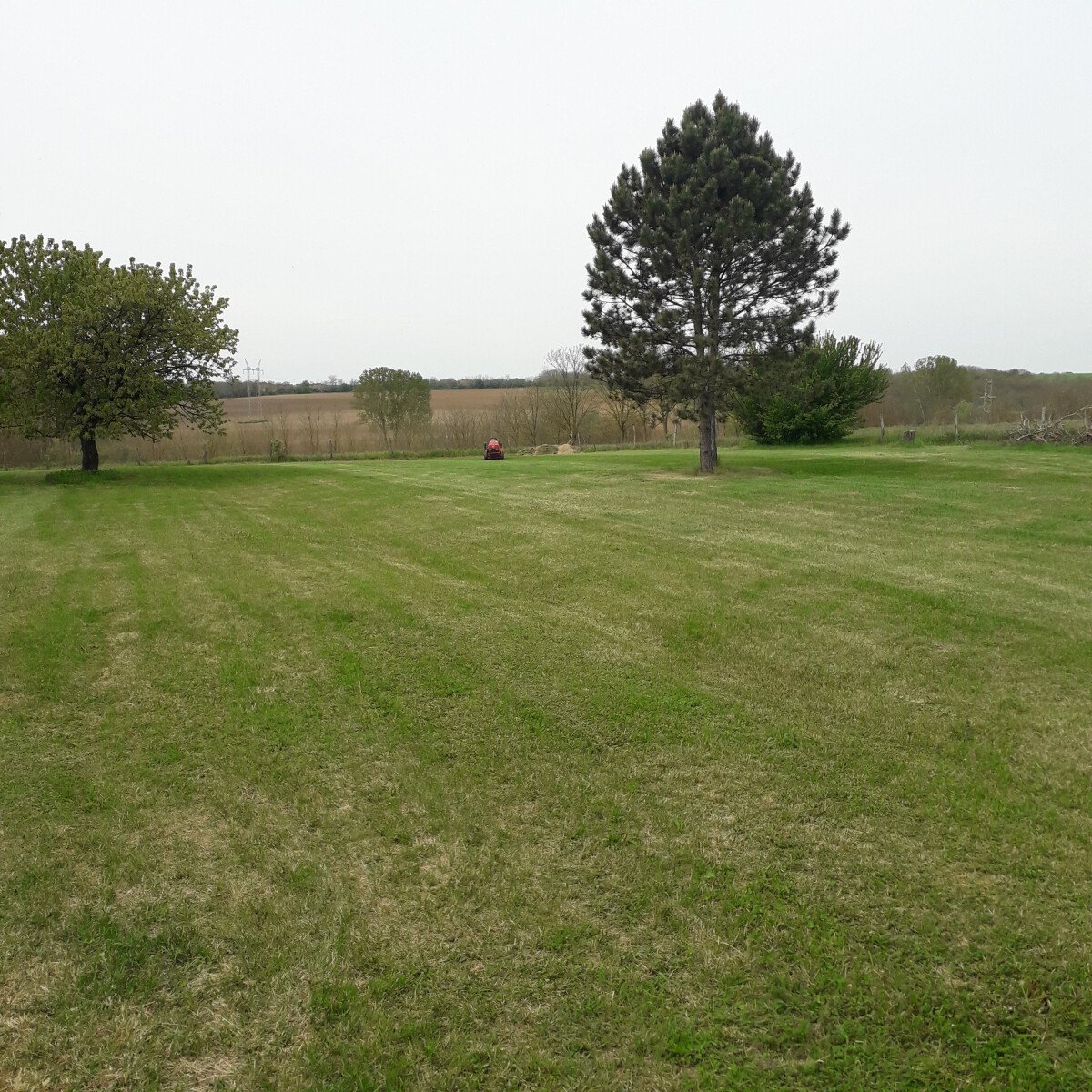 1685532769_ID11621-1