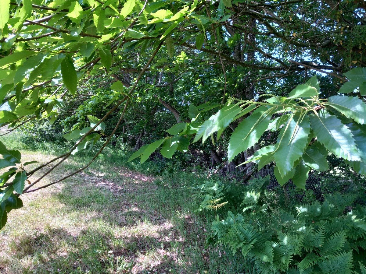1685550323_ouest