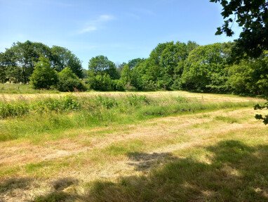 Au nord, vue depuis votre emplacement. Le jardin des plantes se trouve derrière la haie